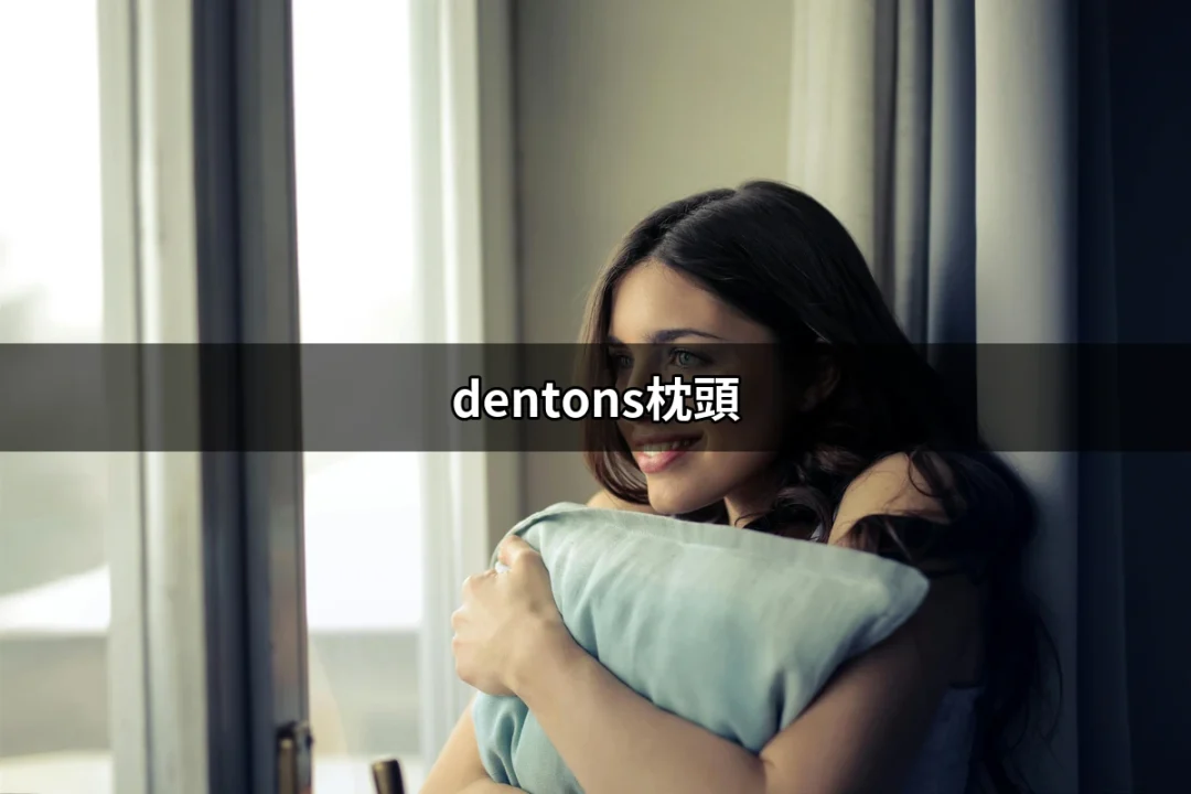 讓每晚都舒適的好夥伴：dentons枕頭的選擇與評價 | 好吃美食的八里人