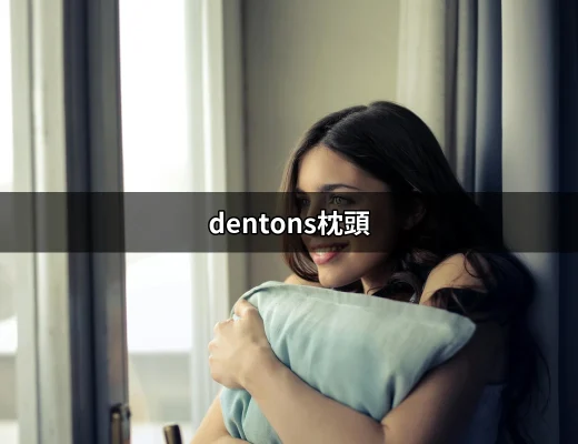 讓每晚都舒適的好夥伴：dentons枕頭的選擇與評價 | 好吃美食的八里人