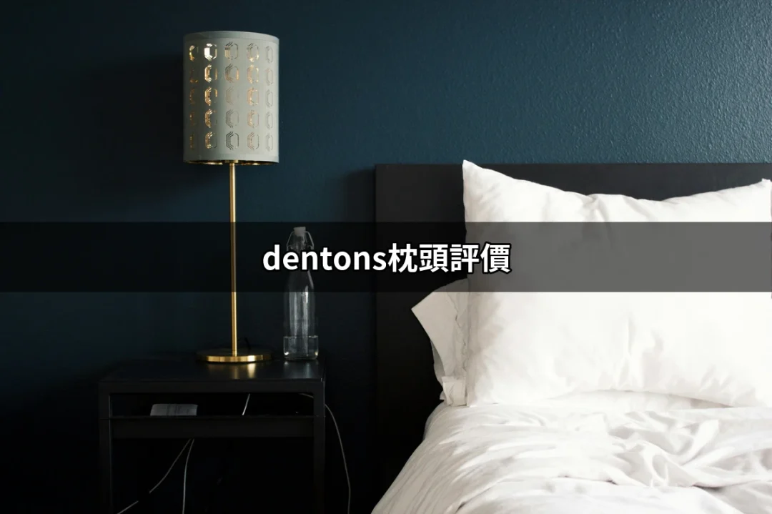 Dentons枕頭評價：讓每一晚的睡眠都像在雲端 | 好吃美食的八里人