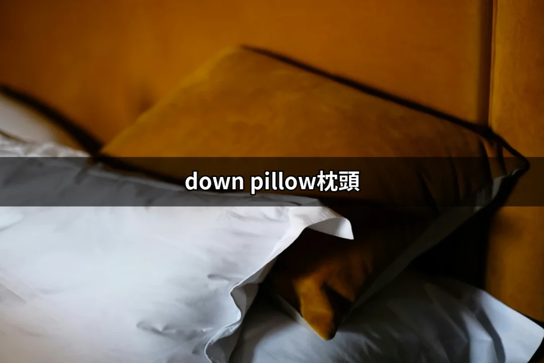 為何選擇down pillow枕頭？揭開羽絨枕的魅力 | 好吃美食的八里人