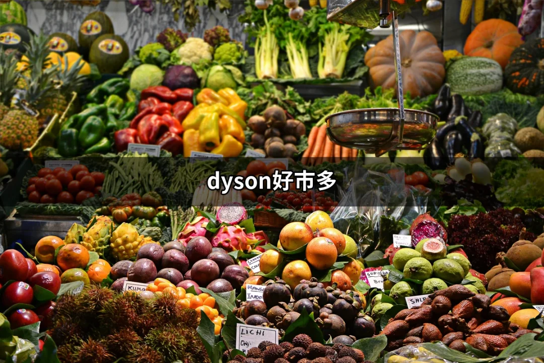 Dyson好市多：買Dyson的最佳選擇在這裡 | 好吃美食的八里人