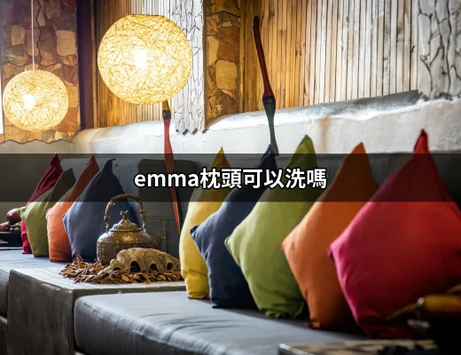 Emma枕頭可以洗嗎？你需要知道的一切！ | 好吃美食的八里人