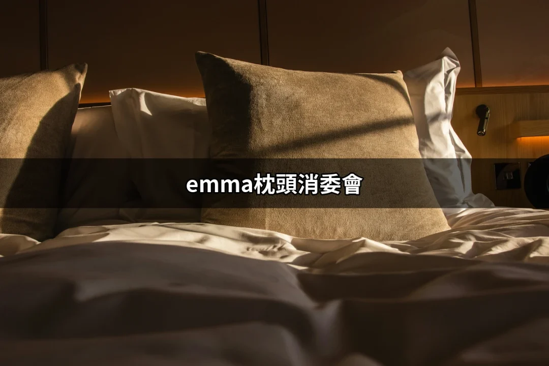 為何emma枕頭在消委會評比中脫穎而出？深入了解這款榮獲高分的枕頭 | 好吃美食的八里人