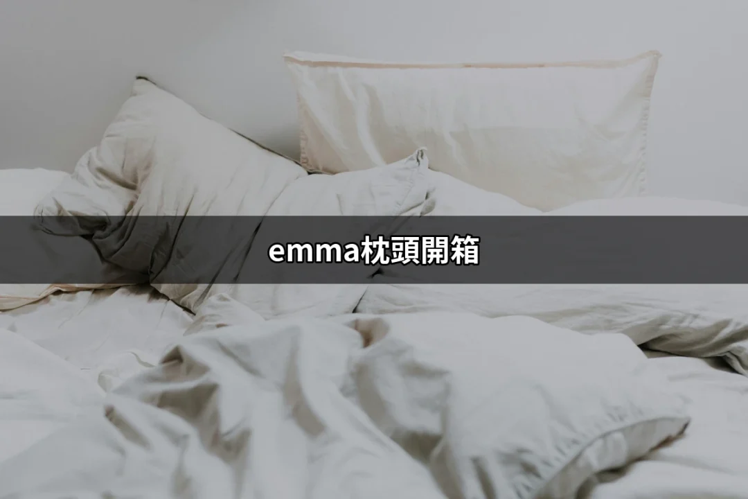 深入了解emma枕頭開箱：為何這款德國品牌成為熱潮 | 好吃美食的八里人