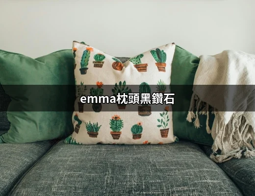 讓每個夜晚都如夢似幻的emma枕頭黑鑽石 | 好吃美食的八里人