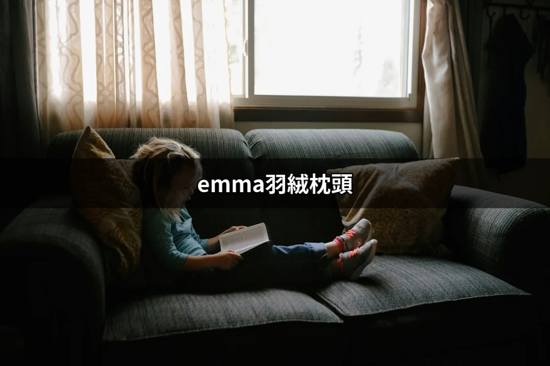 舒適無比的夢境：為何選擇Emma羽絨枕頭 | 好吃美食的八里人