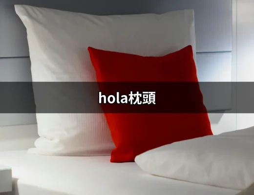 尋找完美睡眠伴侶：hola枕頭的選擇之旅 | 好吃美食的八里人