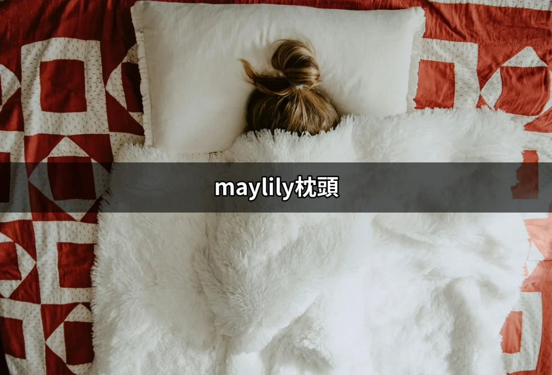 發現maylily枕頭：給寶寶最溫暖的擁抱 | 好吃美食的八里人