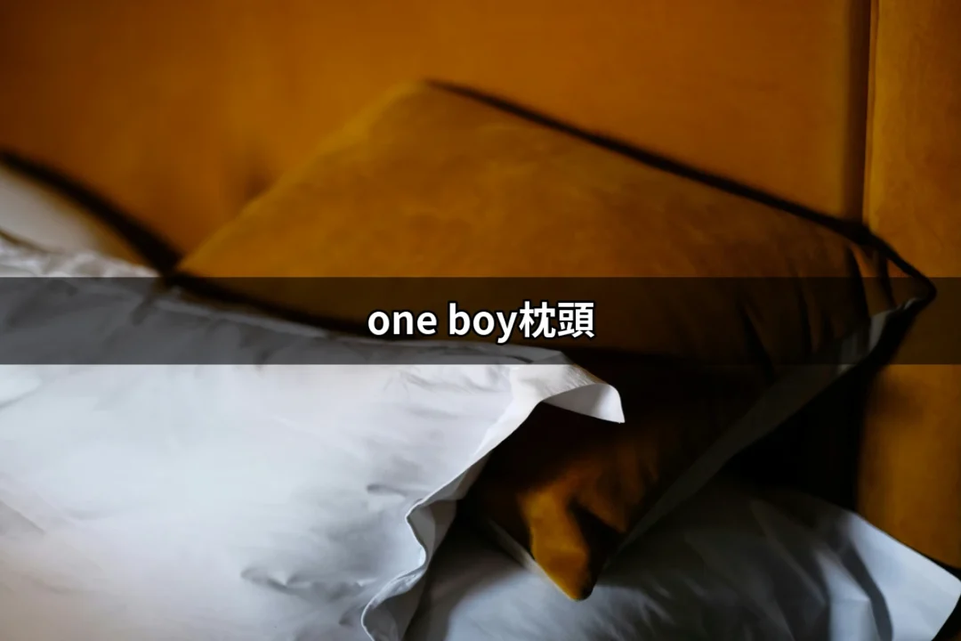 找到完美夢鄉：ONE BOY枕頭深度解析 | 好吃美食的八里人