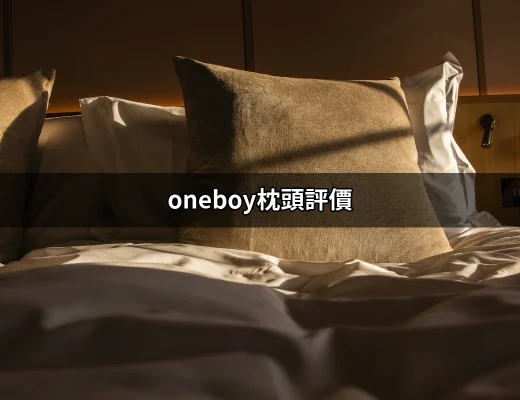 ONEBOY枕頭評價：完美睡眠的選擇？ | 好吃美食的八里人