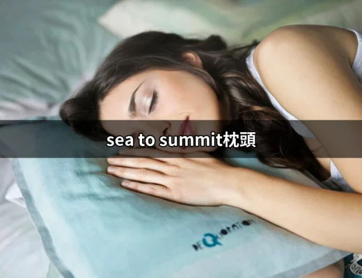 拯救你野外睡眠的秘訣：Sea to Summit枕頭評價與選擇指南 | 好吃美食的八里人