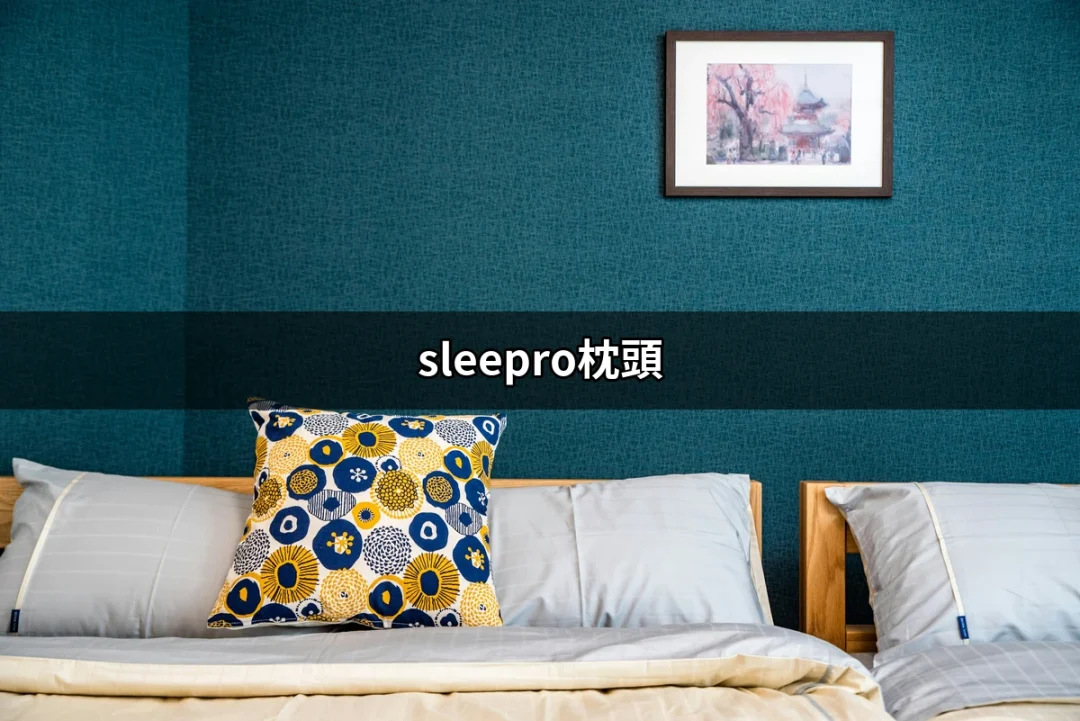 睡得香甜，擁有完美支撐的秘密：sleepro枕頭 | 好吃美食的八里人