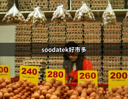 讓你驚艷的外接充電神器：soodatek好市多使用攻略 | 好吃美食的八里人