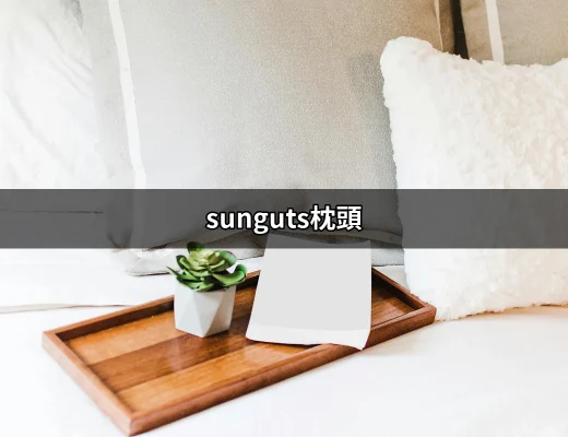 睡得好，醒得更好：sunguts枕頭的真相 | 好吃美食的八里人