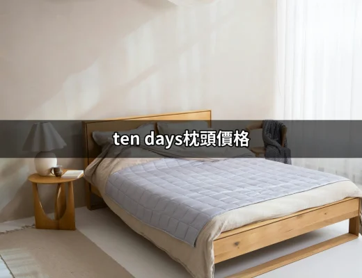 ten days枕頭價格：選擇與投資的最佳指南 | 好吃美食的八里人