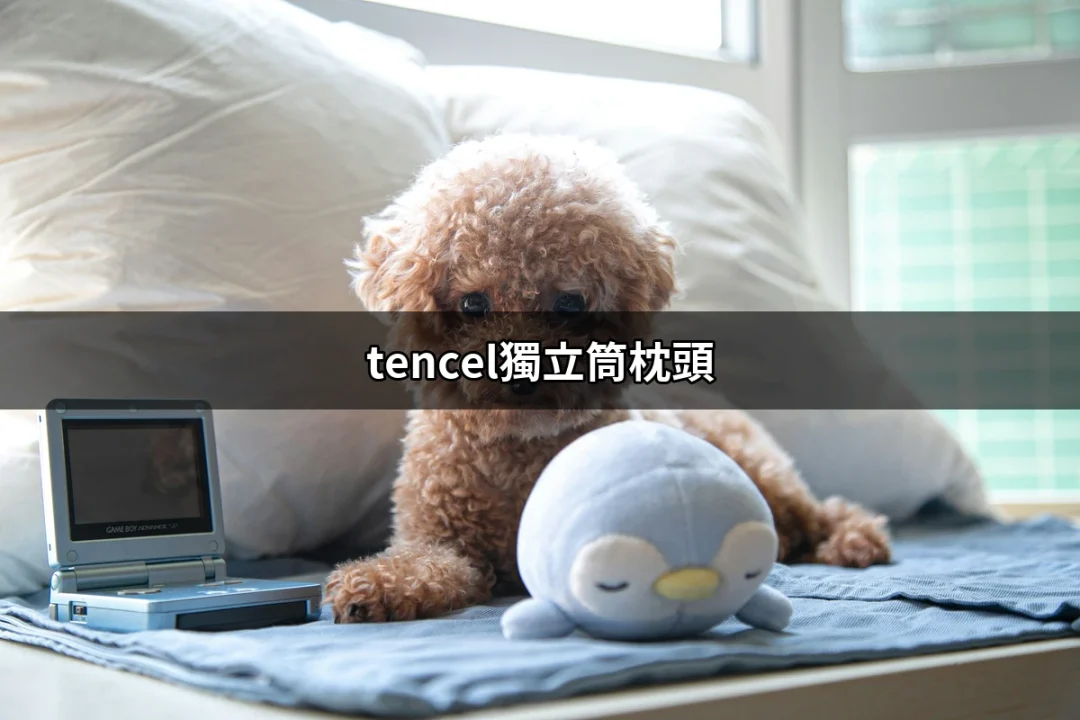 為什麼你需要嘗試 Tencel 獨立筒枕頭？ | 好吃美食的八里人