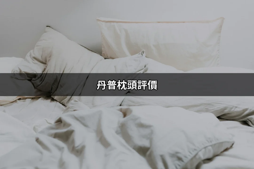 丹普枕頭評價：真相大揭密，你值得擁有的睡眠伴侶！ | 好吃美食的八里人