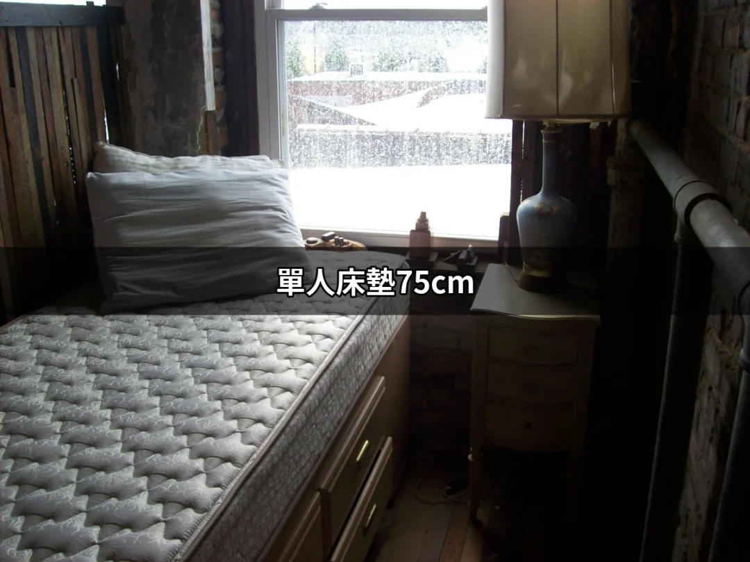 探索單人床墊75cm：為你的睡眠品質加碼 | 好吃美食的八里人