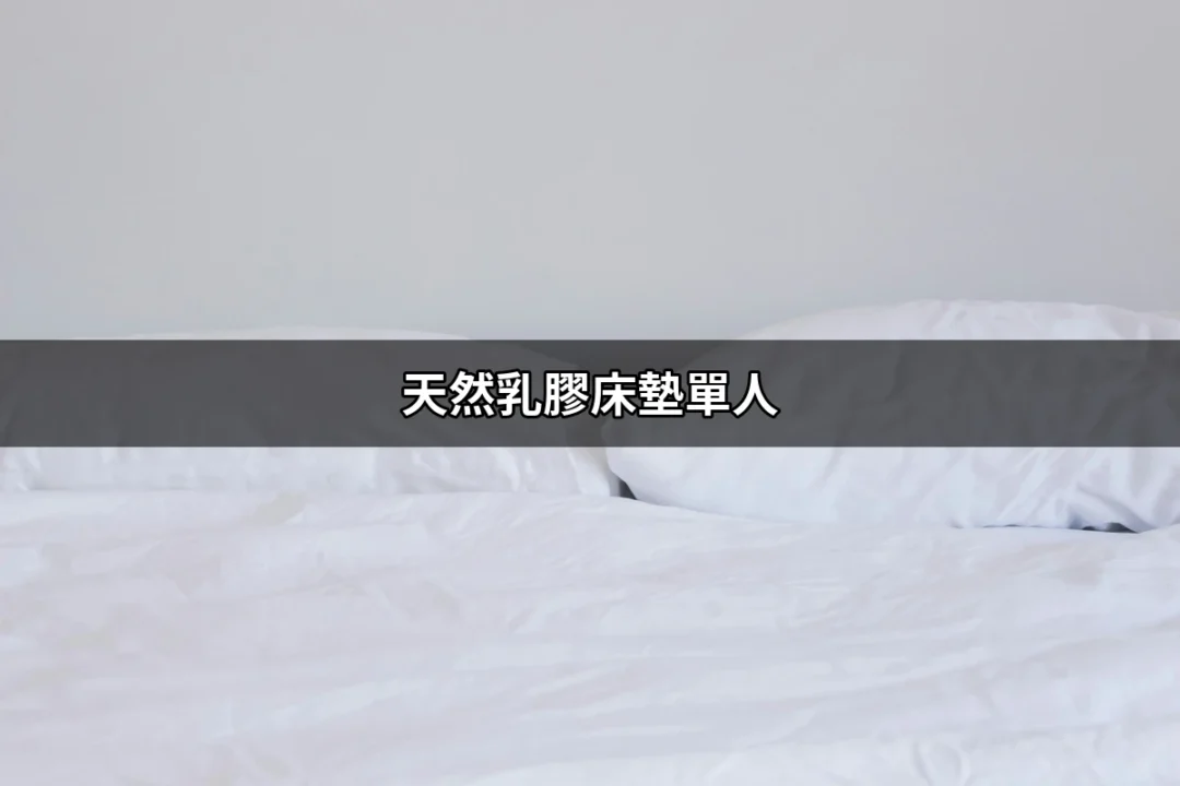 天然乳膠床墊單人：優質睡眠的理想選擇 | 好吃美食的八里人