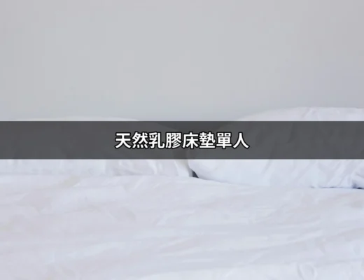 天然乳膠床墊單人：優質睡眠的理想選擇 | 好吃美食的八里人