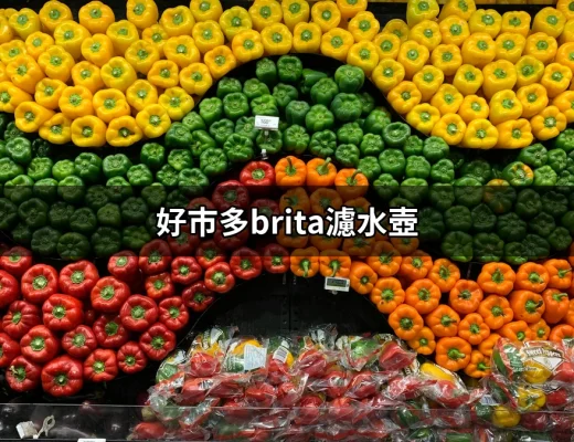 在好市多買BRITA濾水壺，讓你喝得安心又健康 | 好吃美食的八里人