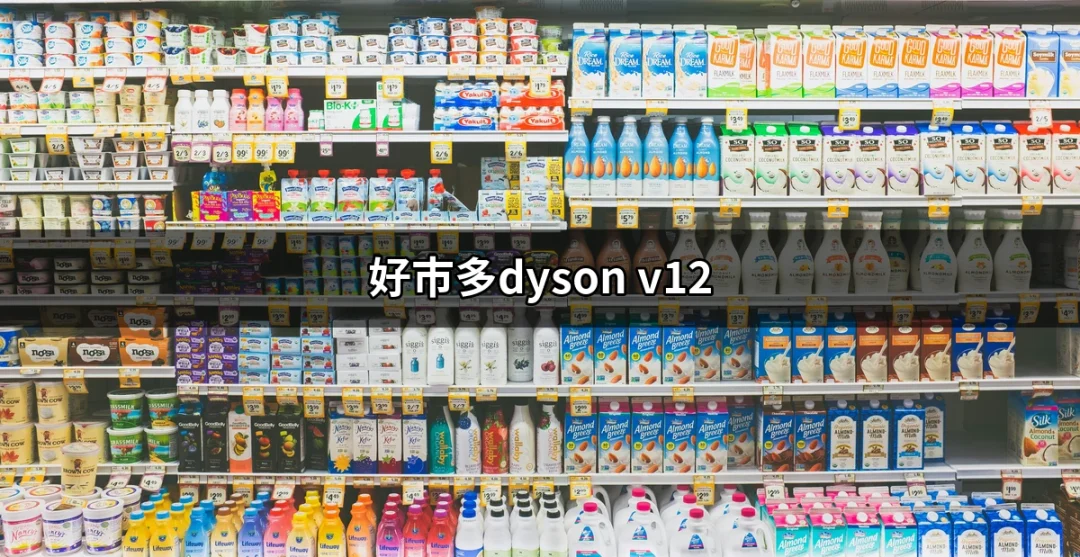 購買指南：為什麼好市多的Dyson V12吸塵器是你的最佳選擇？ | 好吃美食的八里人