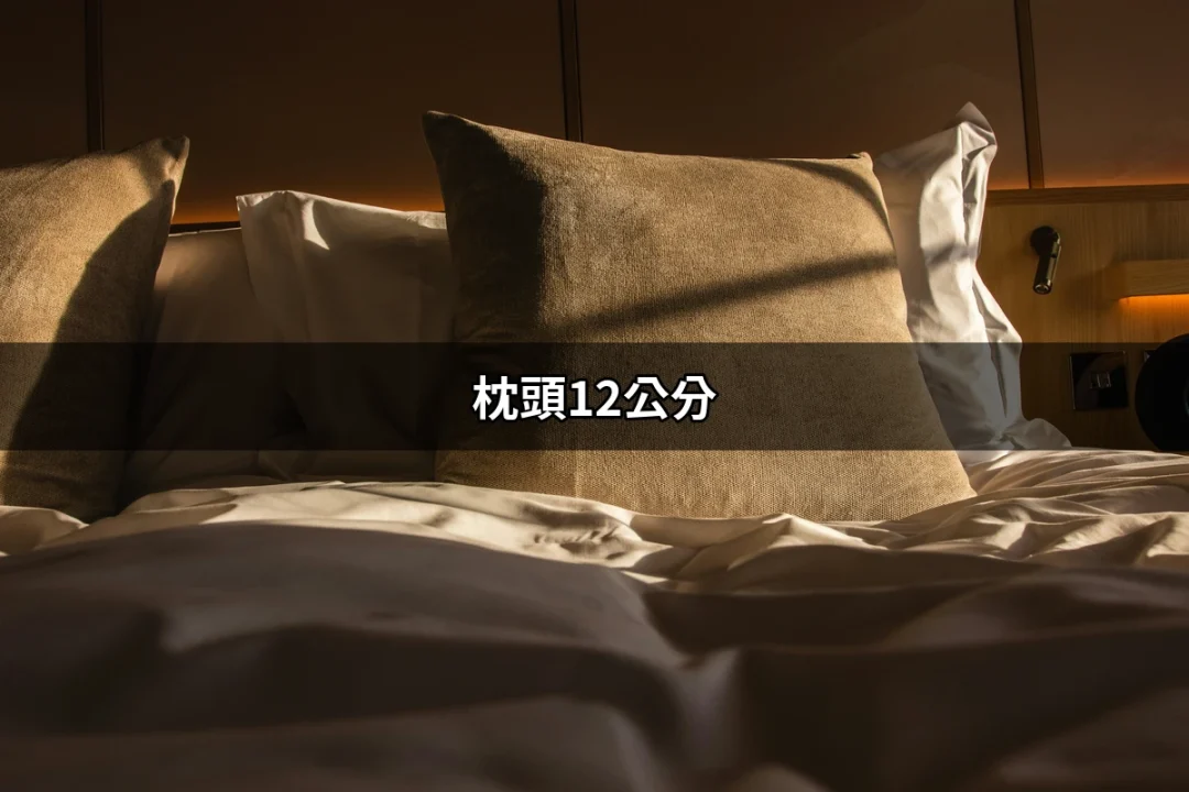 枕頭12公分：選擇合適的高度，讓睡眠更舒適 | 好吃美食的八里人