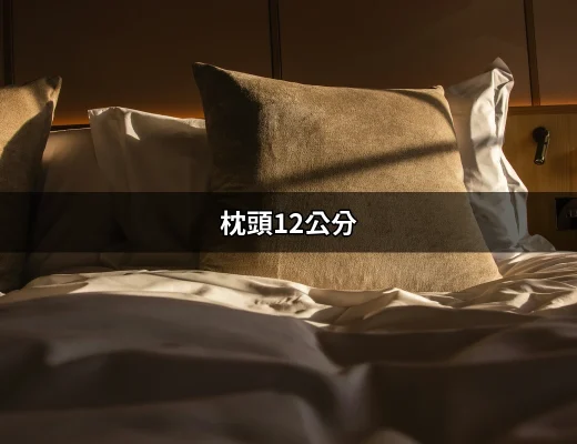 枕頭12公分：選擇合適的高度，讓睡眠更舒適 | 好吃美食的八里人