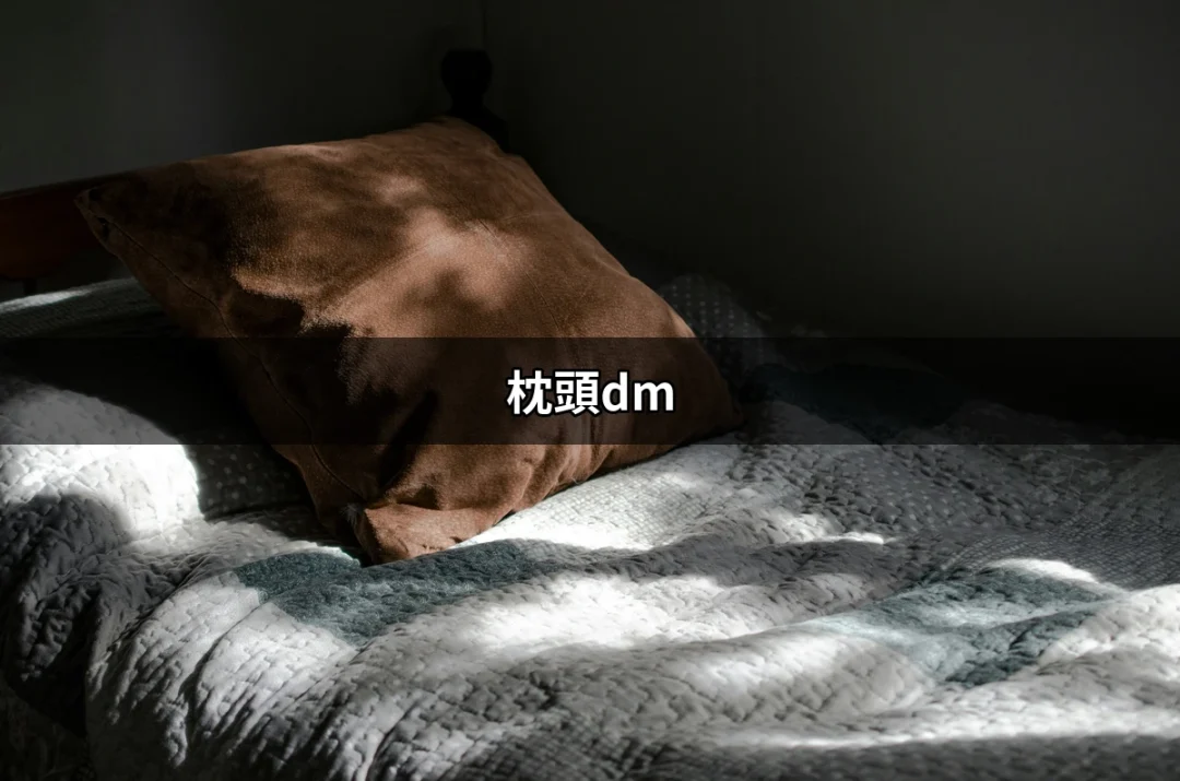 舒適的睡眠新選擇：枕頭DM的魅力 | 好吃美食的八里人