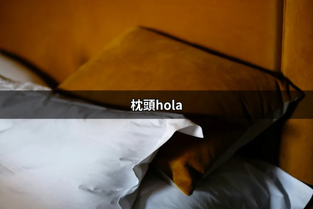 發現枕頭hola：打造完美睡眠的秘密武器 | 好吃美食的八里人