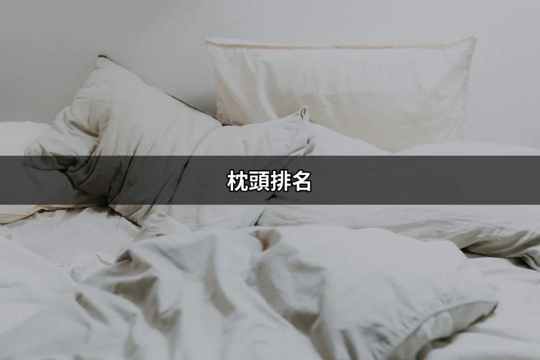 理想睡眠的關鍵：2023年枕頭排名大揭曉 | 好吃美食的八里人