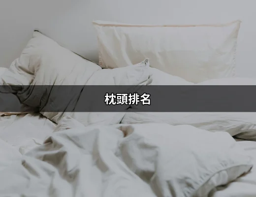 理想睡眠的關鍵：2023年枕頭排名大揭曉 | 好吃美食的八里人