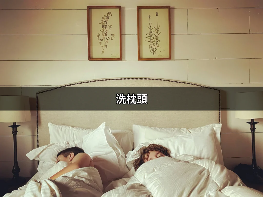 洗枕頭的終極指南：讓你的睡眠環境更潔淨舒適 | 好吃美食的八里人