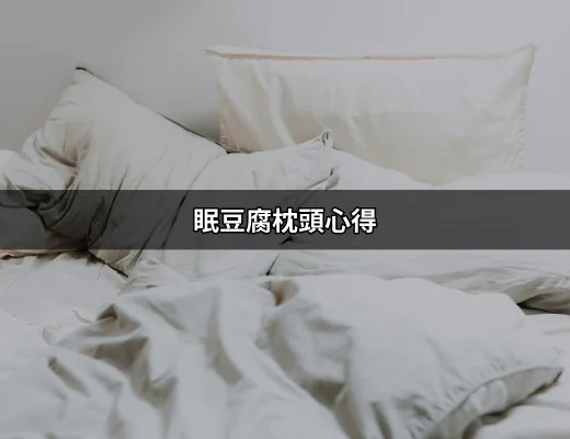 眠豆腐枕頭心得：讓你一夜好眠的秘密武器 | 好吃美食的八里人