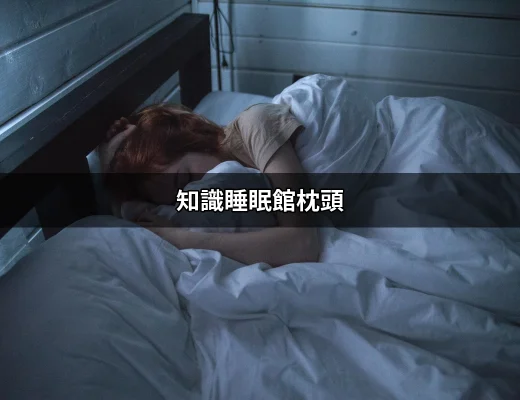 知識睡眠館枕頭：舒適睡眠的秘訣 | 好吃美食的八里人