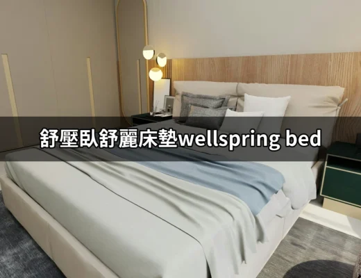 在舒適與科技中找到平衡：舒壓臥舒麗床墊Wellspring Bed的完美選擇 | 好吃美食的八里人