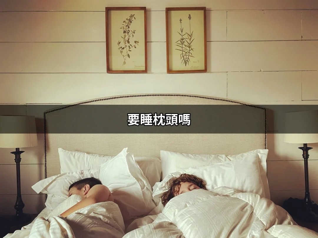 要睡枕頭嗎？揭開無枕睡眠的真相 | 枕頭推薦 | 好吃美食的八里人