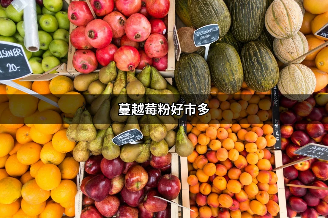 蔓越莓粉好市多：維持健康的新選擇 | 好吃美食的八里人