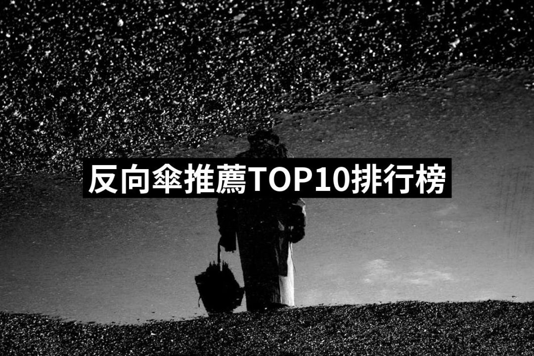 【2025】反向傘推薦10款高評價反向傘品牌排行 | 好吃美食的八里人