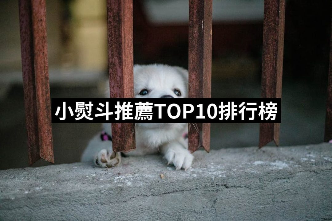【2025】小熨斗推薦10款高評價人氣品牌排行榜 | 好吃美食的八里人