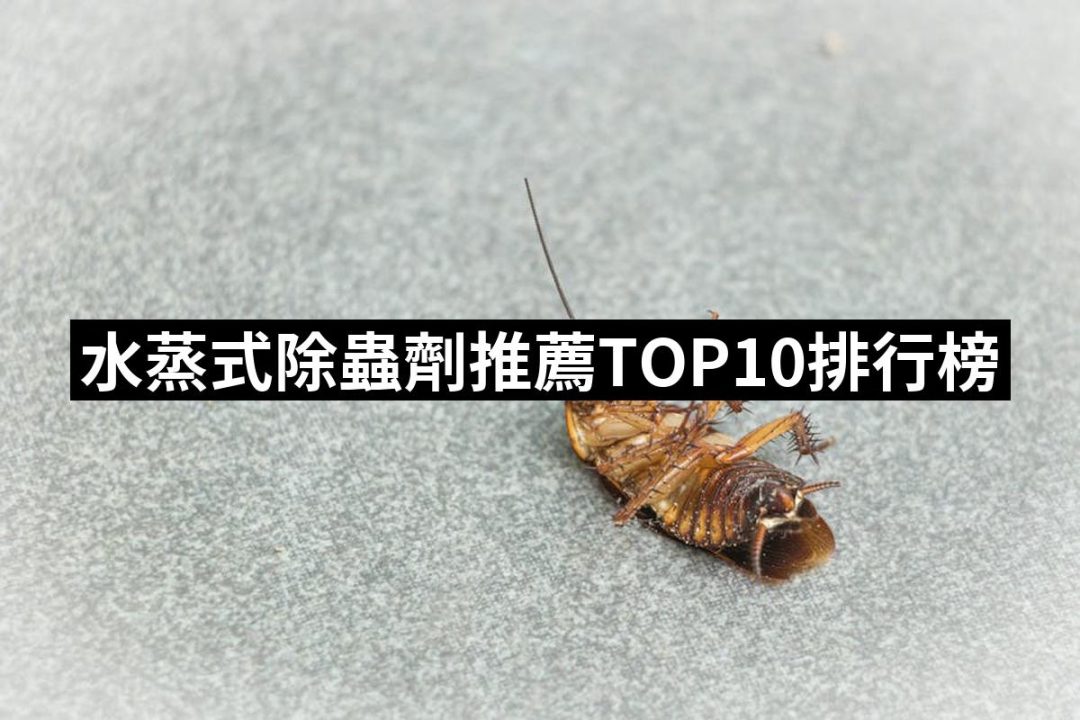 【2025必買】水蒸式除蟲劑終極推薦清單 | 好吃美食的八里人