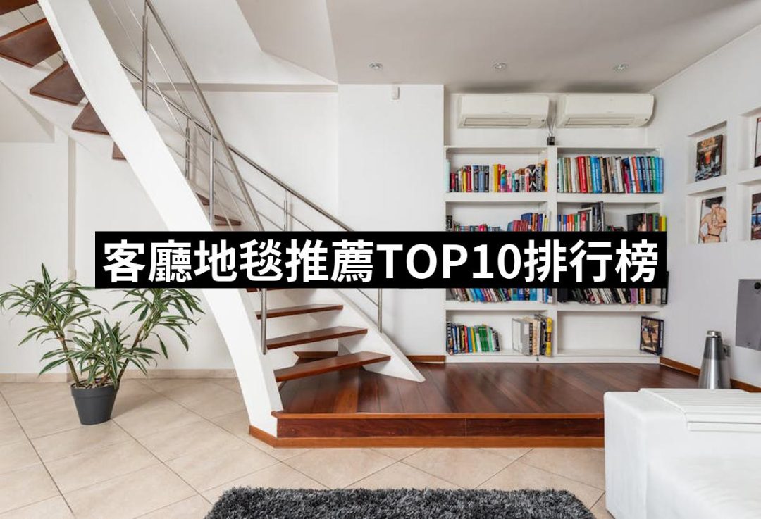 【2025必買】客廳地毯終極推薦清單 | 好吃美食的八里人