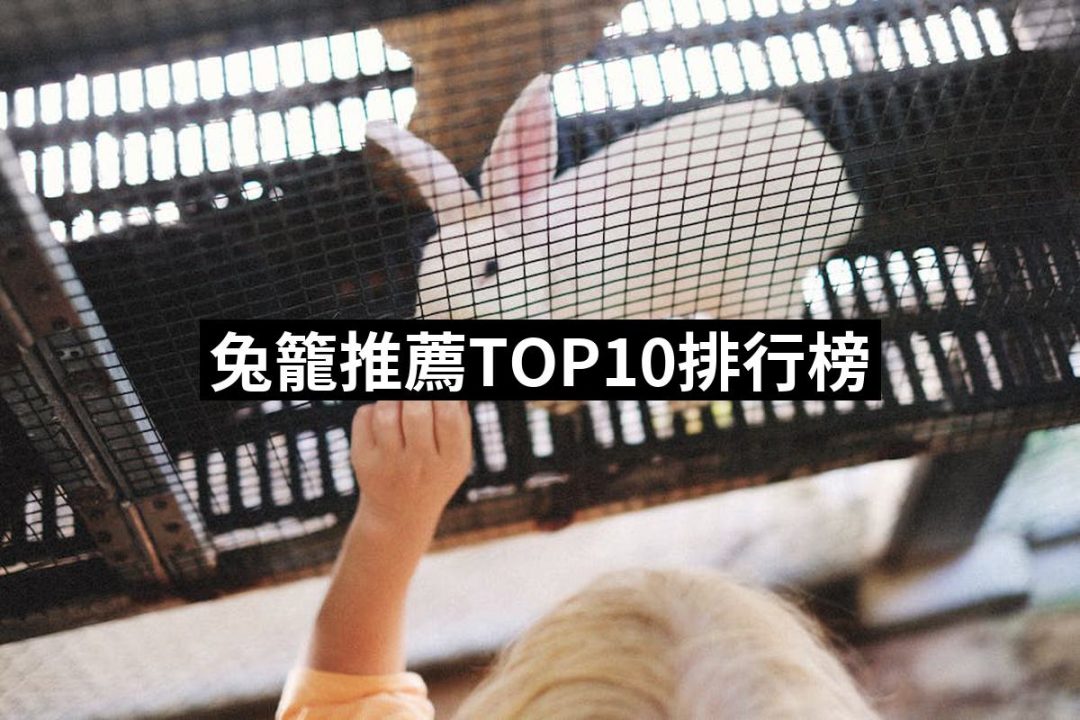 【2025】兔籠推薦ptt》10款高評價人氣品牌排行榜 | 好吃美食的八里人