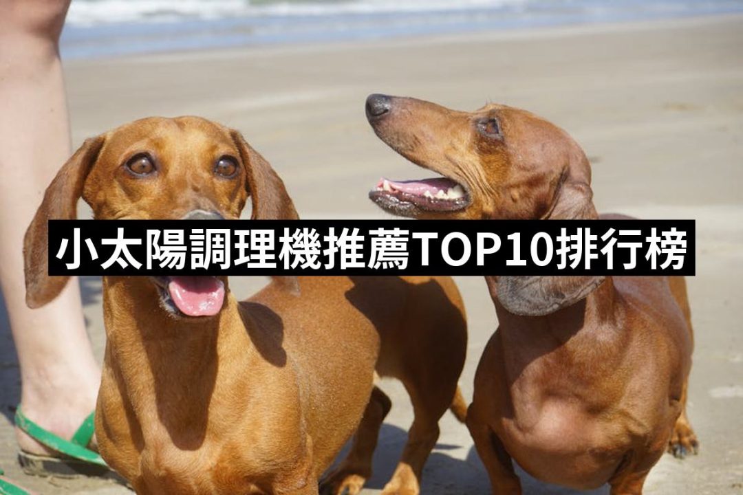 【2025】小太陽調理機推薦ptt》10款高評價人氣品牌排行榜 | 好吃美食的八里人