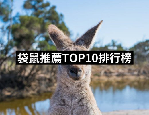 【2025必買】袋鼠終極推薦清單 | 好吃美食的八里人