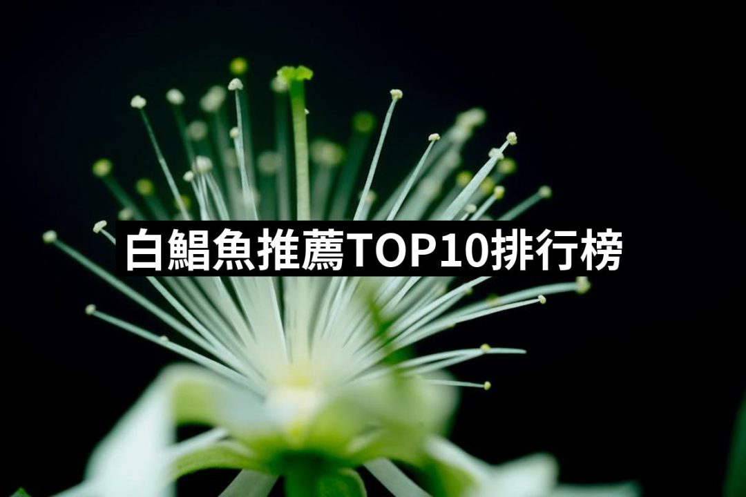 【2025必買】白鯧魚終極推薦清單 | 好吃美食的八里人
