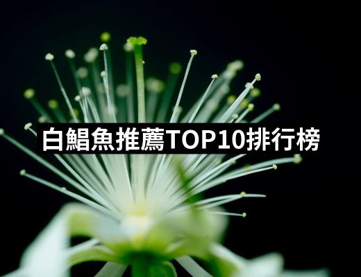【2025必買】白鯧魚終極推薦清單 | 好吃美食的八里人
