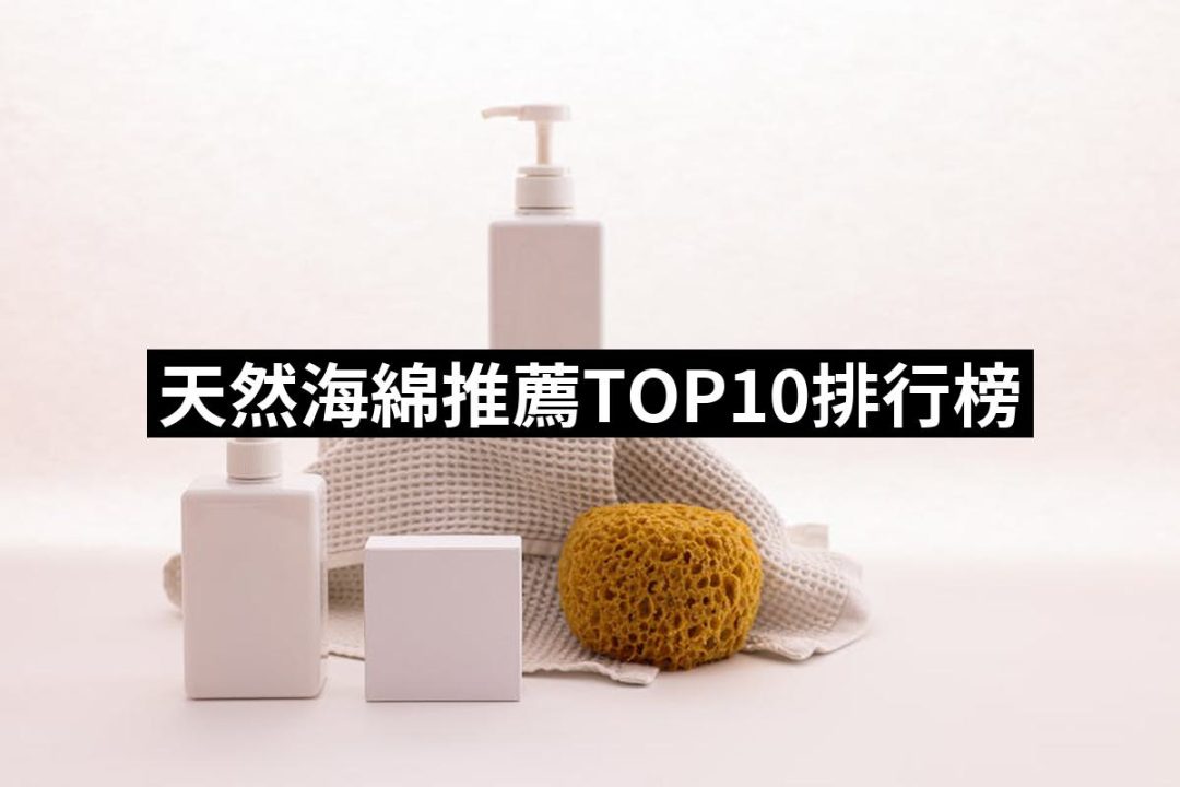 【2025】天然海綿推薦10款高評價天然海綿品牌排行 | 好吃美食的八里人