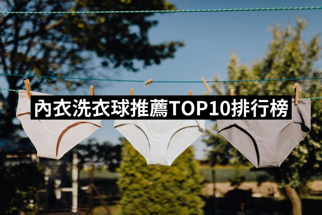 【2025必買】內衣洗衣球終極推薦清單 | 好吃美食的八里人