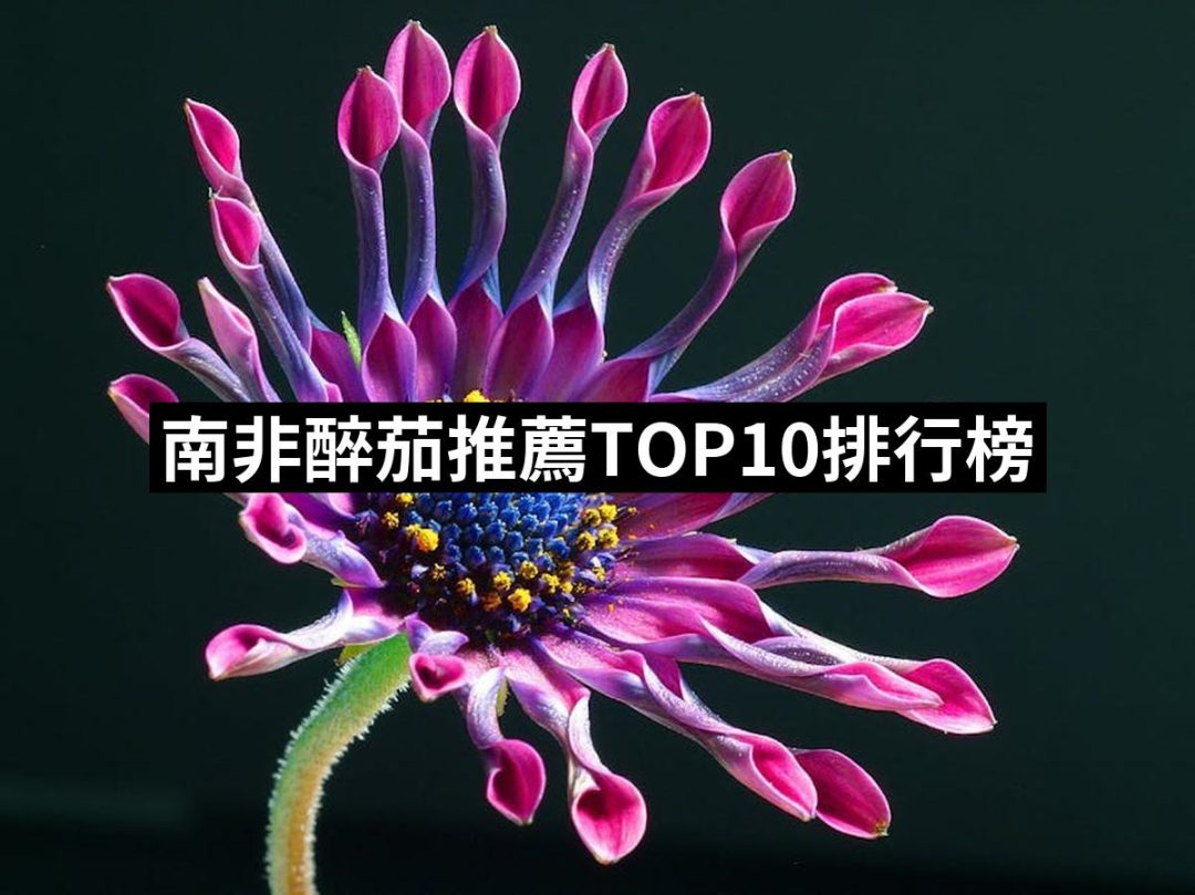 【2025】南非醉茄推薦10款高評價南非醉茄品牌排行 | 好吃美食的八里人